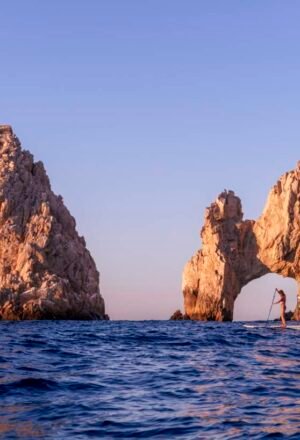 Tesoros del Mar de Cortés  6 días salida 15 de noviembre